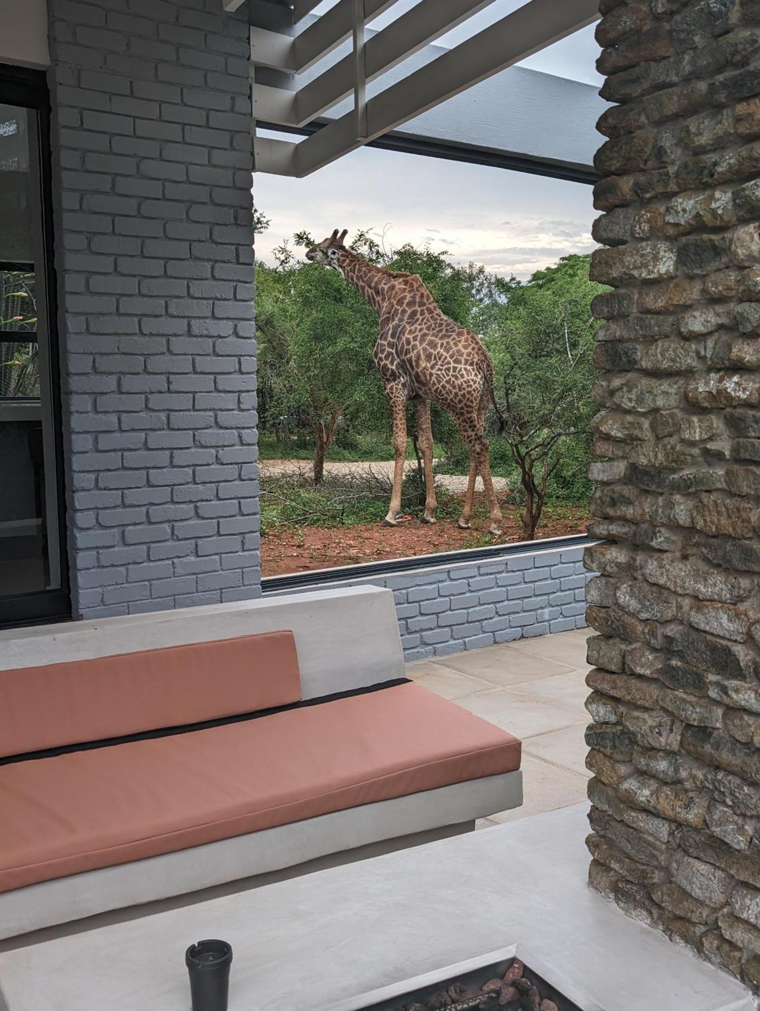 Ungava Retreat Villa มาร์ลอทพาร์ค ภายนอก รูปภาพ
